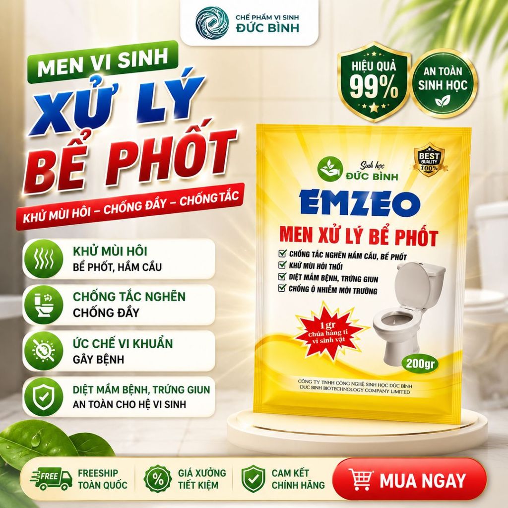 Bồn cầu có mùi, nước rút chậm: Khi nào nên dùng men xử lý bể phốt EMZEO?