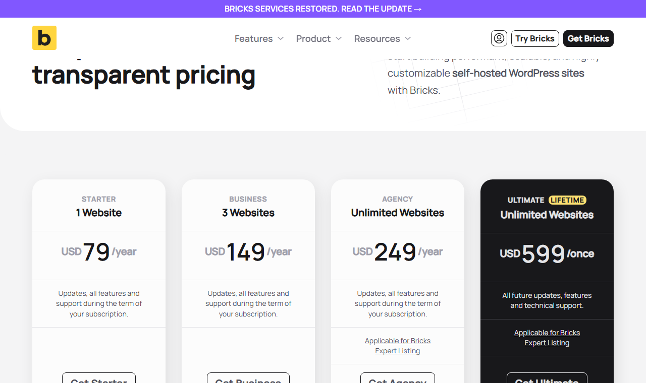 Bricks pricing page with a banner Bricks Services Restored, Read The Update, and four plans: Starter 1 website 79 dollars a year, Business 3 websites 149 dollars a year, Agency unlimited websites 249 dollars a year, and Ultimate Lifetime unlimited websites 599 dollars once